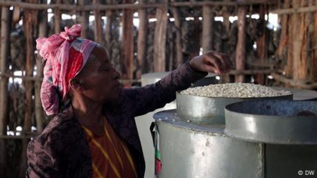 Simple solution helps Ethiopian farmers to cut food loss