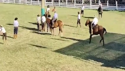 2da. Parte de las Actividades en el Ruedo - P 1 de 2 - Patria Gaucha 2025 - Tacuarembó, tarde del 20 de marzo