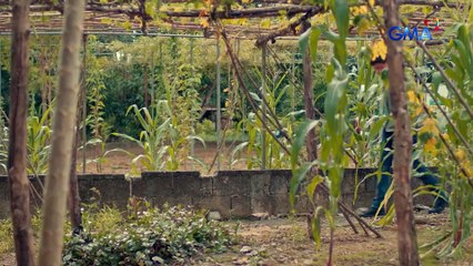 Lolong 2: Elise and Lolong reunites once again! (Episode 46 - Part 3/3)