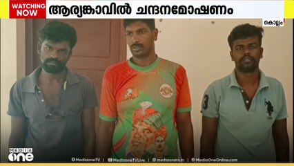 കൊല്ലം ആര്യങ്കാവിൽ‍ നിന്ന് ചന്ദനമരം മേഷ്ടിച്ച് കടത്തിയ മൂന്ന് തമിഴ്നാട് സ്വദേശികൾ പിടിയിൽ
