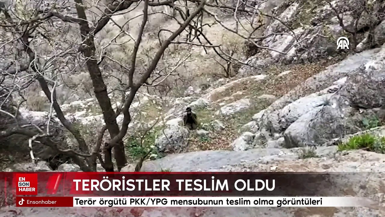 Terör örgütü PKK/YPG mensubunun teslim olma görüntüleri ortaya çıktı
