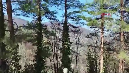 Doğa uyanıyor: Samandere Şelalesi çağladı
