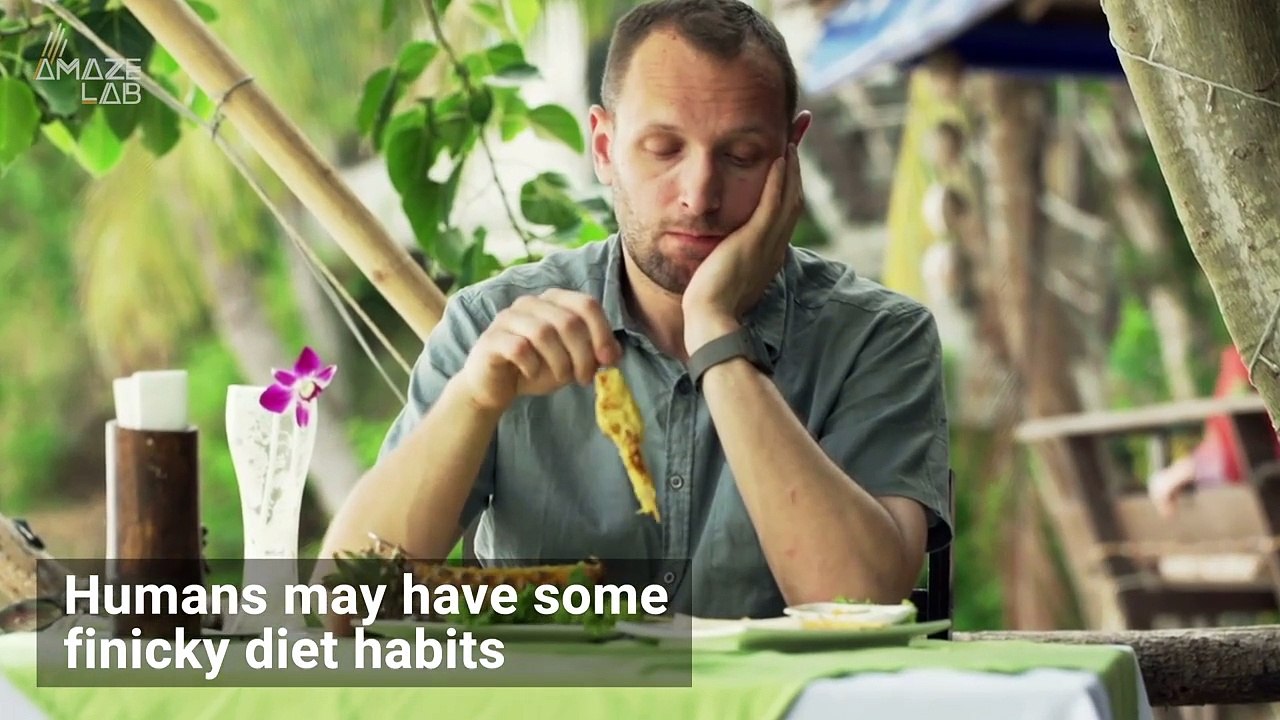 Check Out The Strangest Eating Habits Among These Specific Animals