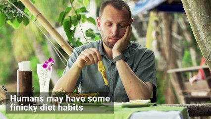 Check Out The Strangest Eating Habits Among These Specific Animals