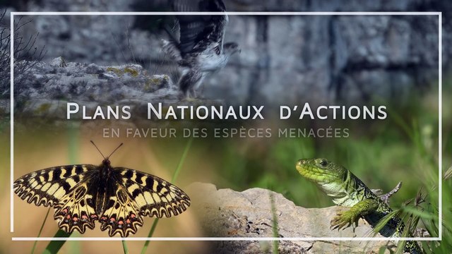 DREAL Occitanie - Plan National D'Action - #7 L'émyde lépreuse