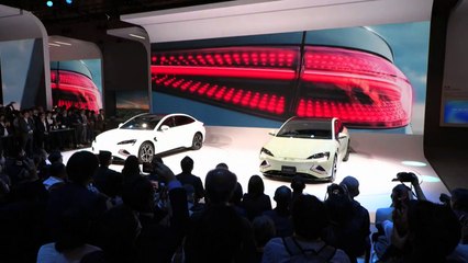 BYD fecha ano recorde e supera a Tesla em receitas