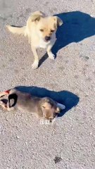 un adevarat om cu suflet mare