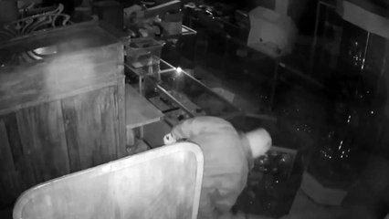 Crook who broke into Derbyshire auction house owned by Bargain Hunt star is jailed