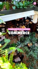 Itinéraire d'un parisien : Quelques pépites dans le 15ème