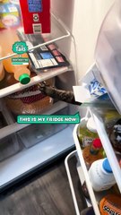 Lach dich schlapp mit Lustige Pfoten Ч. 2