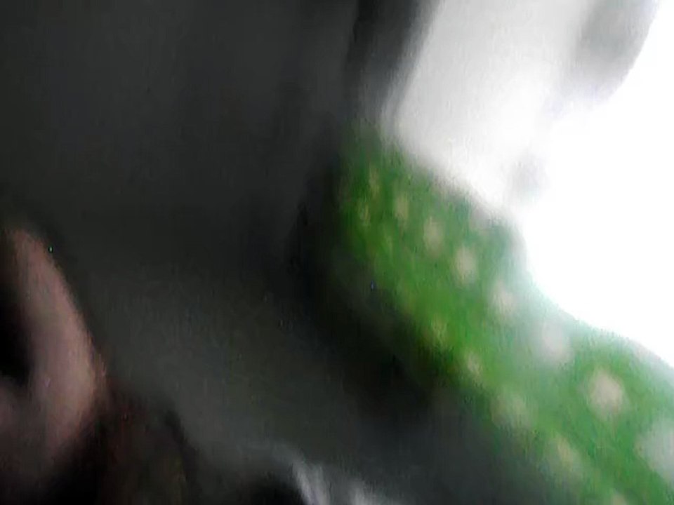 Eilisiä Lehtiä