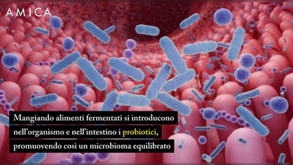 I benefici degli alimenti fermentati sull’organismo