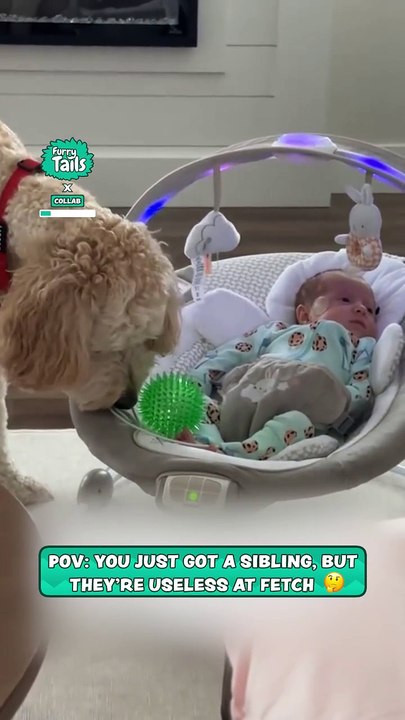 Dog wants to play ball with newborn