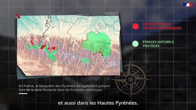 DREAL Occitanie - Plan National D'Action - #8 Le bouquetin des Pyrénées
