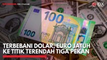 Terbebani Dolar, Euro Jatuh ke Titik Terendah Tiga Pekan