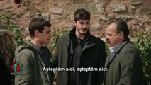 Orfanii episodul 17 subtitrat în română