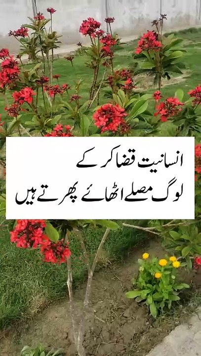 Qoutes in Urdu Hindi