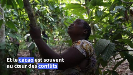 Des groupes armés convoitent le cacao dans l'est de la RDC, déchiré par les conflits
