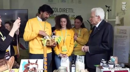 Usa-Ue, Mattarella: dazi? Speriamo che il buon senso prevalga