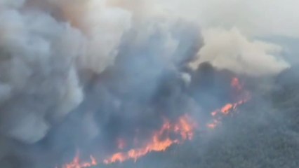 안동으로 산불 확산...국가소방동원령 추가 발령 / YTN