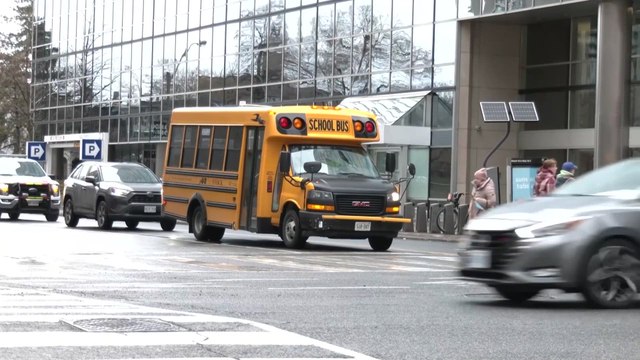 Tariffs and US-Canada relations top voters' concerns in Toronto