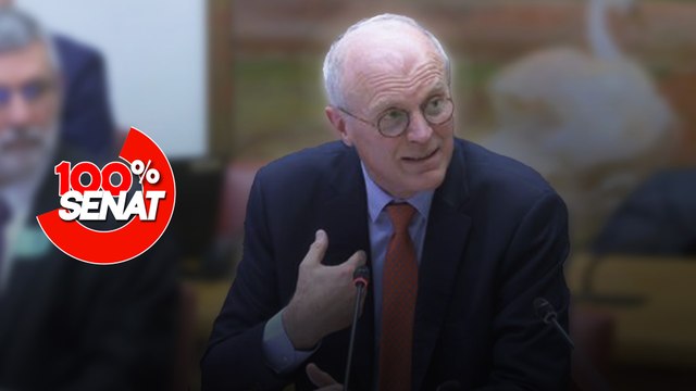 100% Sénat - Aides publiques aux entreprises : audition du PDG de Michelin