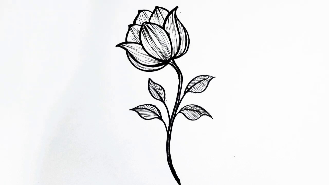 How to Draw a Flower Step by Step _ Easy Flower Drawing for Beginners
