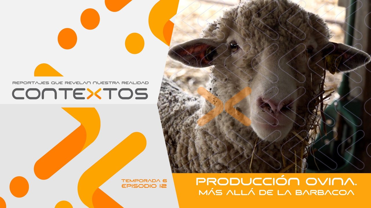 T6 Ep.12 - Producción ovina. Más allá de la barbacoa | Contextos, reportajes que revelan nuestra realidad