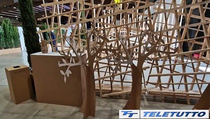 Video News - Imbal carton, packaging e sostenibilità