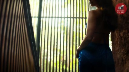 New Romantic Song Released _ Vicky Kaushal & Tripti Dimri _ Hit Hindi Romantic Songs _ New Songs