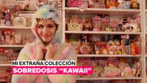 A esta chica le gusta verdaderamente lo 'kawaii'
