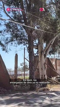 ¿Preservarán los árboles de este fraccionamiento de Durango?