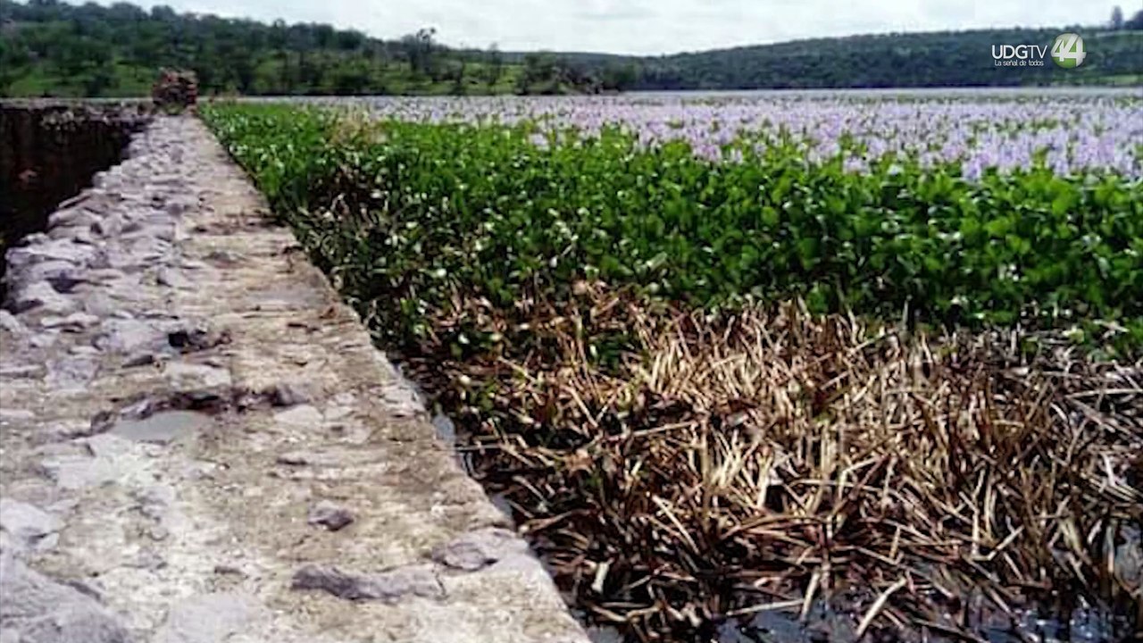 La Región Alteña comienza a vivir los estragos de la sequía presentando niveles muy bajos en presas