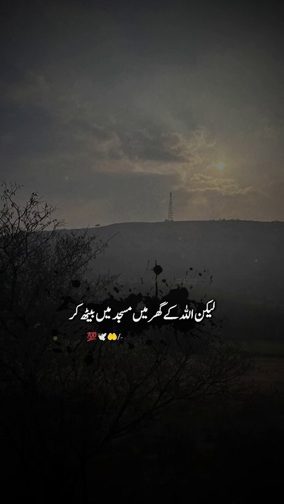Islamic zone