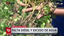 Sector maicero no solo se ve afectado por la falta de diésel, sino también por la excesiva lluvia, según Promasor