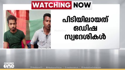 രാമനാട്ടുകരയിൽ കഞ്ചാവ് മൊത്തവിതരണക്കാർ പിടിയിൽ