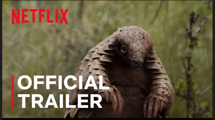 Pangolin Kulu’s Journey | Official Trailer - Netflix