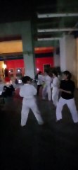 Taekwondo , tkd, tlu  20250324_195500