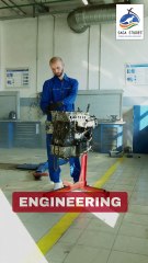 Top Courses to study in New Zealand