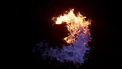 5091624-hd_1920_1080_24fps (1)