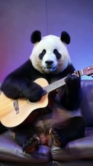 🐼🎸 Panda Guitar Baja Raha Hai – Aisi Performance Pehli Baar Dekhi! 🔥🤩 | Must Watch!