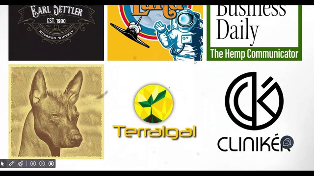 Branding and Brand Design Agency