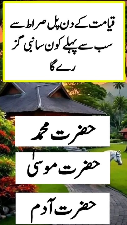 Islamic quick answer and jawab