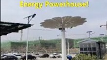 Wanze Energy : Dual-axis photovoltaic sunflowers project Langfang, Hebei, China.
