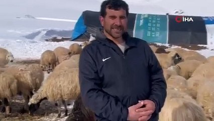 Aç kurtlar köye kadar indi! Erzincanlı besiciler nöbette