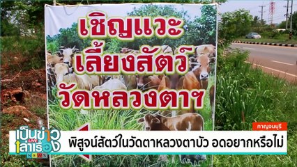 ค่าฝุ่นพิษ PM 2.5 ทะลุวิกฤติ | เป็นข่าวเล่าเรื่อง | 25 มี.ค. 68  | PART 1