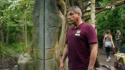 Tierärztin Dr Mertens: Ein großes Versprechen | Folge 99