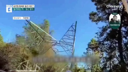 송전탑 통째로 훔친 中 대도?…철거하는 척 철근 팔아