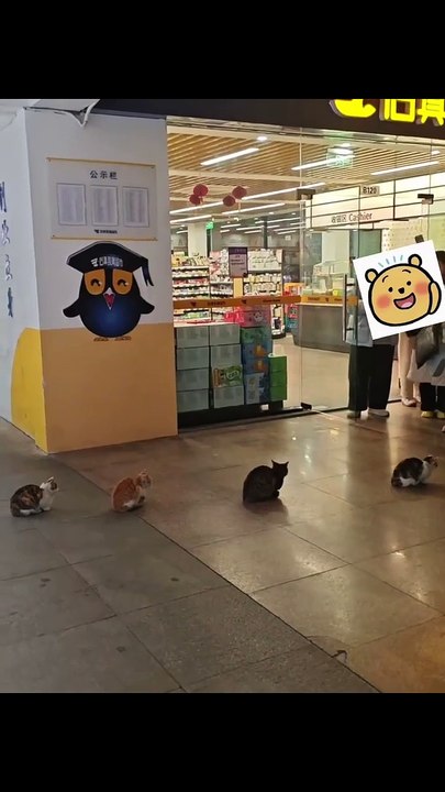 Hé, je ne te laisse pas me doubler dans la file d'attente