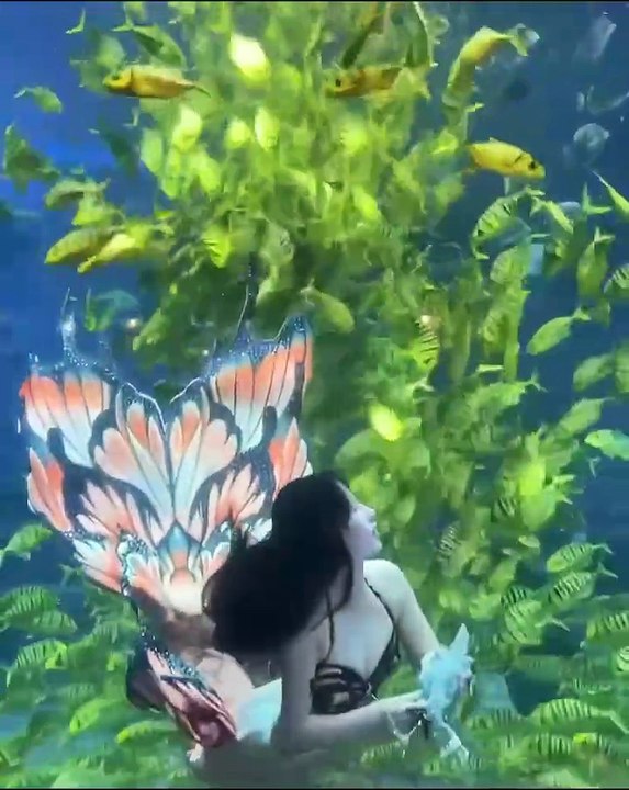 Moment féérique 🧜‍♀️🌊✨